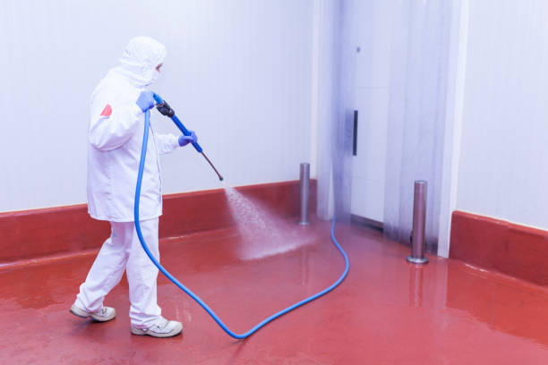 Best Building Exterior Washing  in Hummelstown, PA